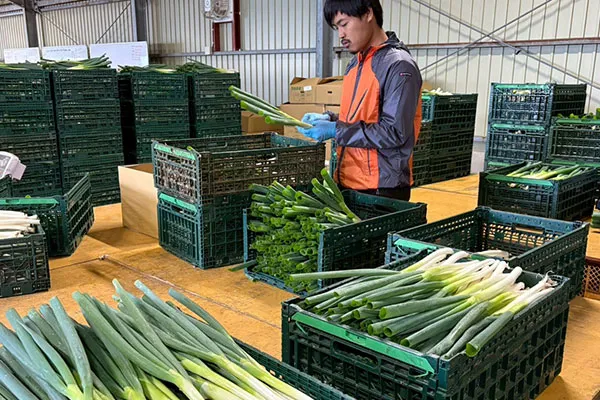 調整作業